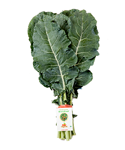 BroccoLeaf